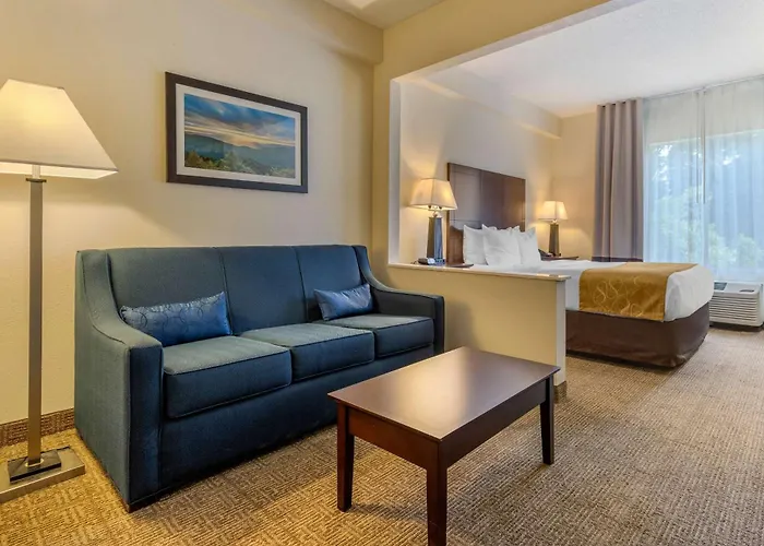 Comfort Suites Gastonia - Charlotte