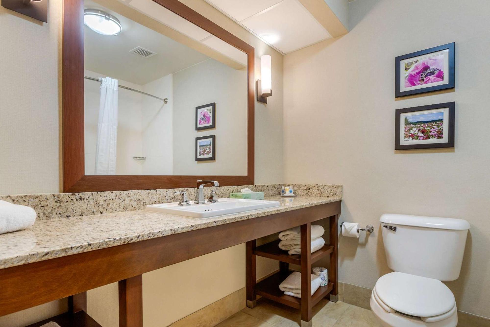 Hotel Comfort - Charlotte Gastonia