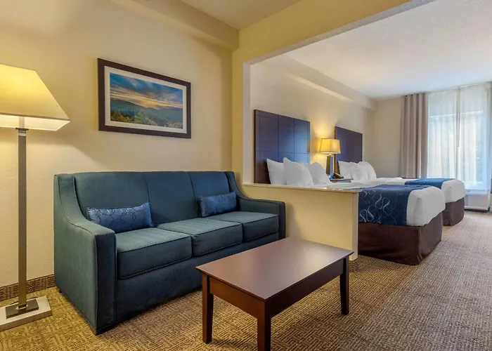 Comfort Suites Gastonia - Charlotte